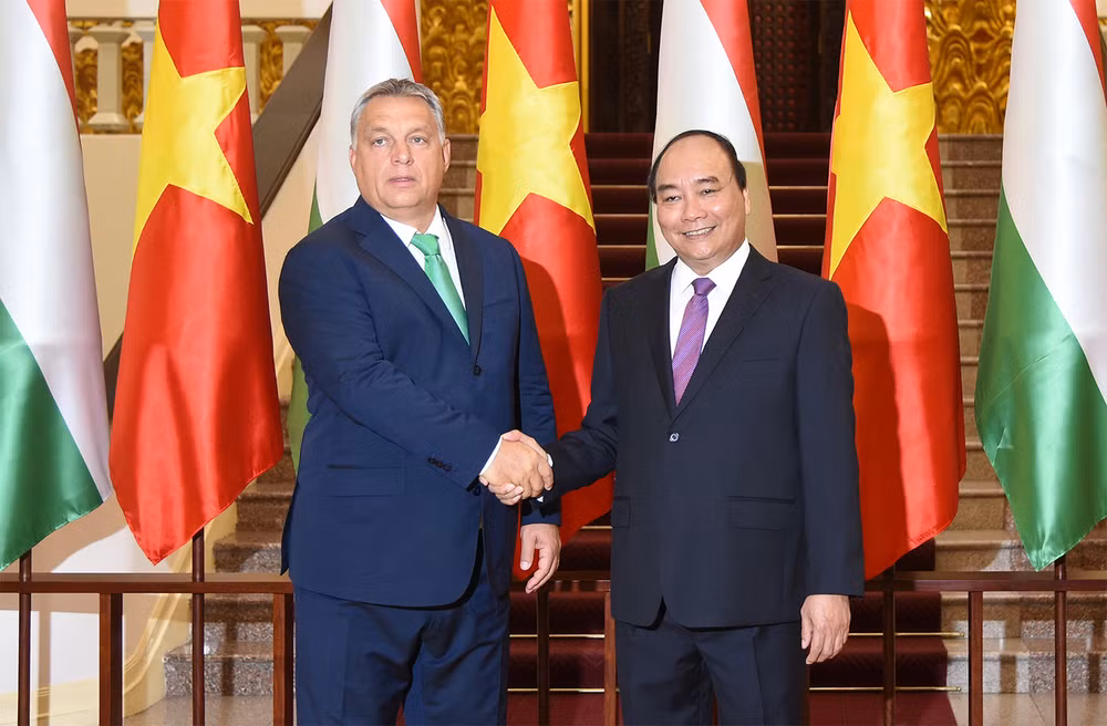 Le Vietnam prend en haute considération le développement de ses relations avec la Hongrie ảnh 1