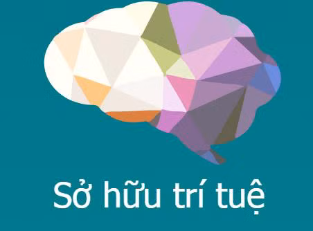 La WIPO aide le Vietnam à développer la propriété intellectuelle ảnh 1 La WIPO aide le Vietnam à développer la propriété intellectuelle ảnh 1