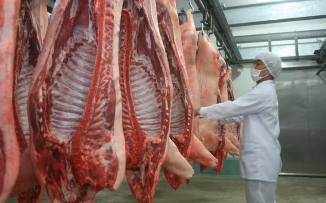 Les exportations de viande porcine et de volailles sur la bonne voie ảnh 1