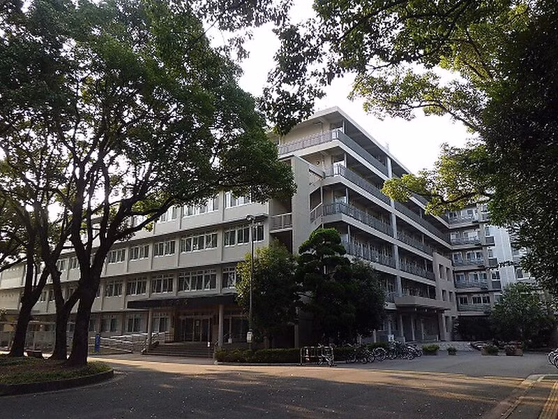 Nagasaki (Japon) cherche à attirer plus d'étudiants vietnamiens ảnh 1