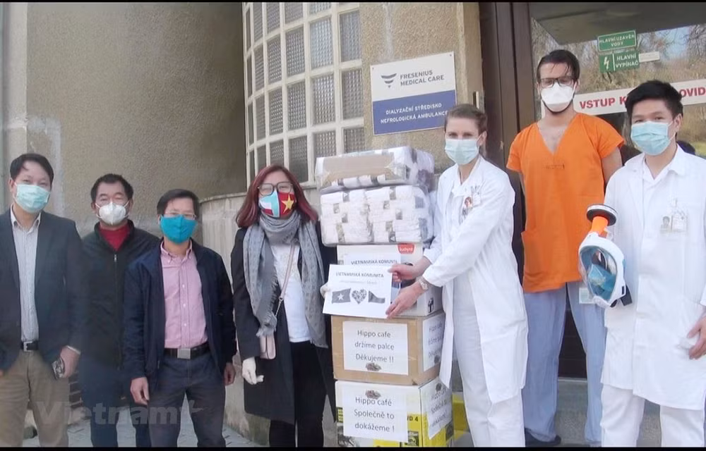 Des Vietnamiens à l’étranger contribuent à la lutte contre le COVID-19 ảnh 1