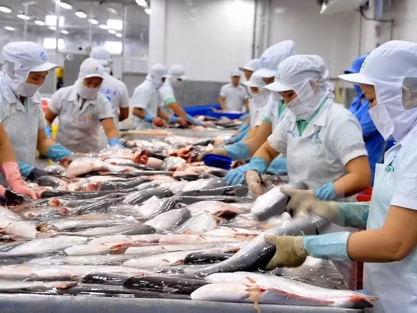 Douze entreprises vietnamiennes autorisées à exporter des produits aquatiques vers l’Arabie saoudite ảnh 1