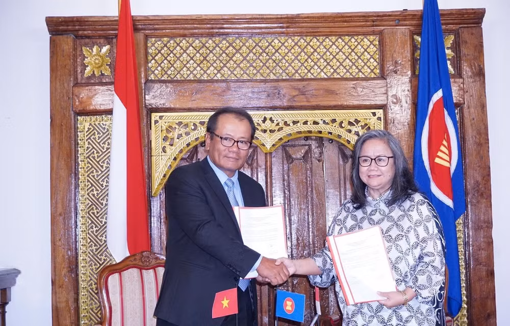 Le Vietnam reçoit la présidence tournante du Comité de l’ASEAN en République tchèque ảnh 1