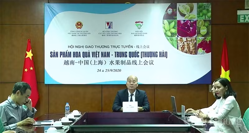 Le Vietnam cherche à stimuler le commerce des fruits avec Shanghai ảnh 1