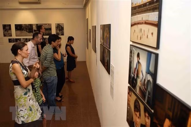 Les 45 ans de liens diplomatiques Vietnam - Pays-Bas en images ảnh 1