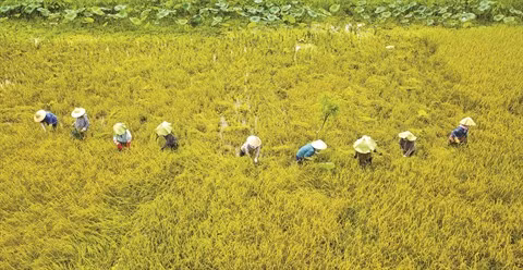 Développement durable, passer à la vitesse supérieure ảnh 2