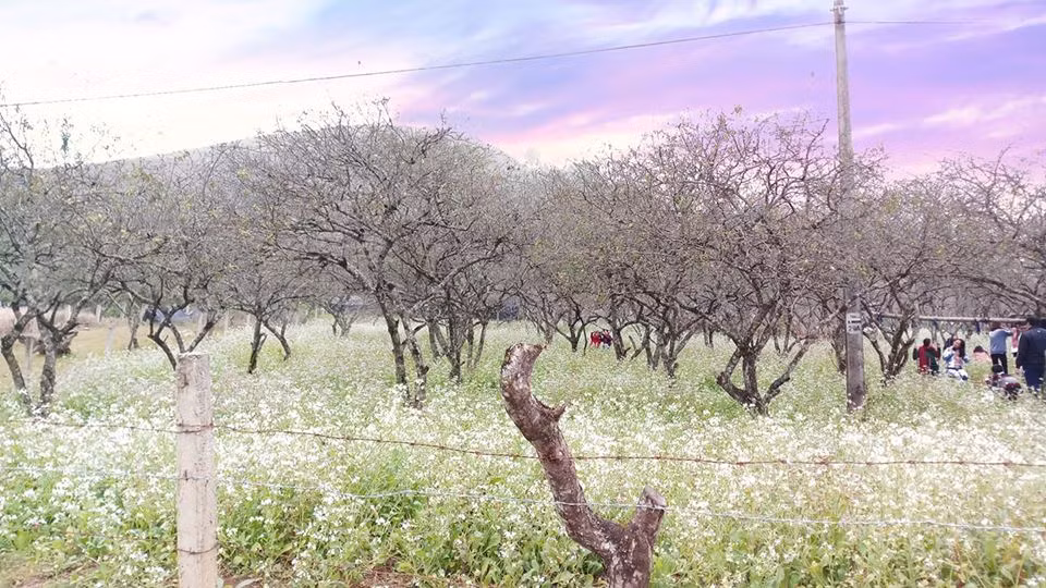 Son La accueille plus de 2 millions de touristes en 2018 ảnh 1