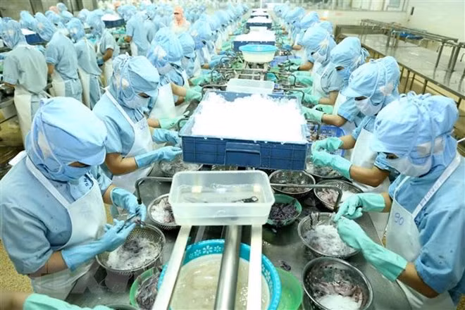 L’EVFTA promeut le partenariat économique Vietnam-France ảnh 1