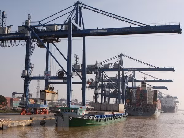 Efforts pour développer la flotte de transport maritime international ảnh 2