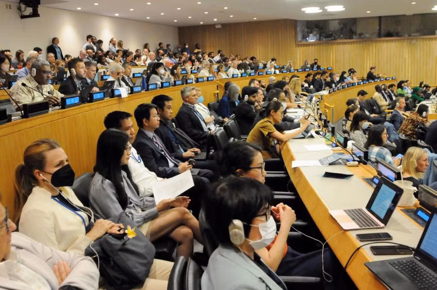 Le Vietnam participe à la 5e session de négociation de la Conférence “BBNJ" ảnh 1