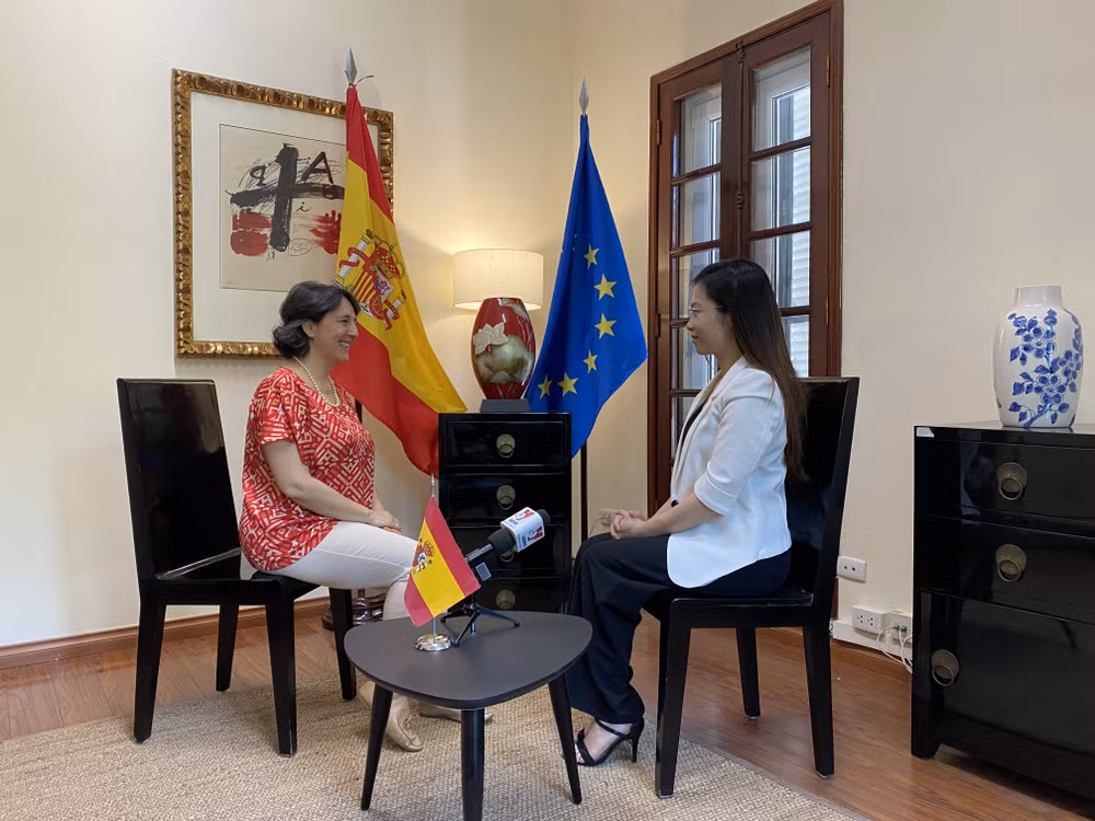 L'Espagne accompagnera le Vietnam dans le développement des énergies renouvelables ảnh 2