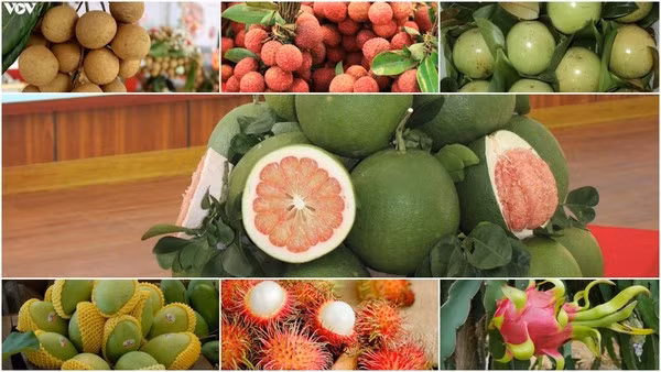 Le commerce extérieur devrait atteindre un record cette année ảnh 2