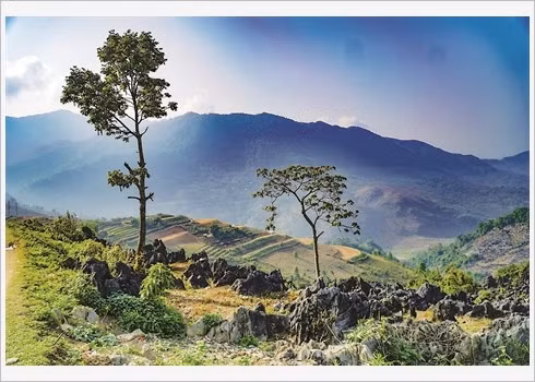 Paysages vierges de l’ancien plateau rocheux de Ta Phin ảnh 1