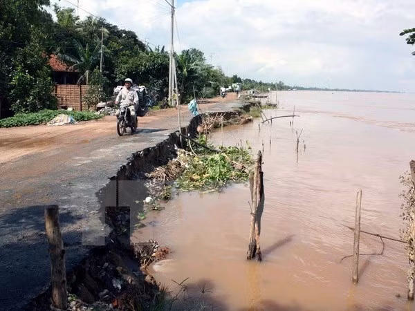 Recherche de solutions pour l'adaptation au changement climatique ảnh 2