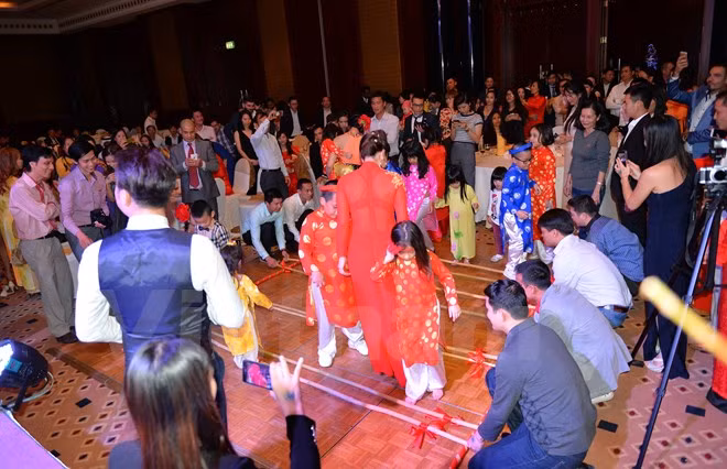 Les Vietnamiens à l'étranger accueillent le Têt traditionnel du Singe ảnh 4