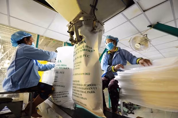 Les entreprises vietnamiennes invitées à profiter des opportunités du marché pour stimuler les exportations de riz ảnh 1