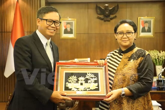 Le Vietnam et l’Indonésie continuent leurs contributions au développement de l’ASEAN ảnh 1