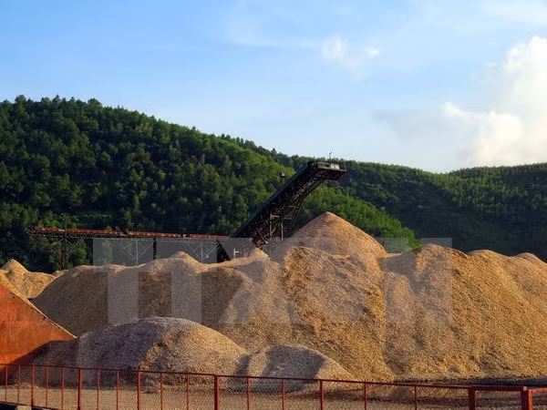 Exportation de 1,8 million de tonnes de copeaux de bois lors du premier semestre ảnh 1