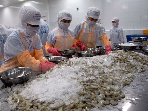 Les Etats-Unis augmentent les taxes antidumping sur les crevettes vietnamiennes ảnh 1