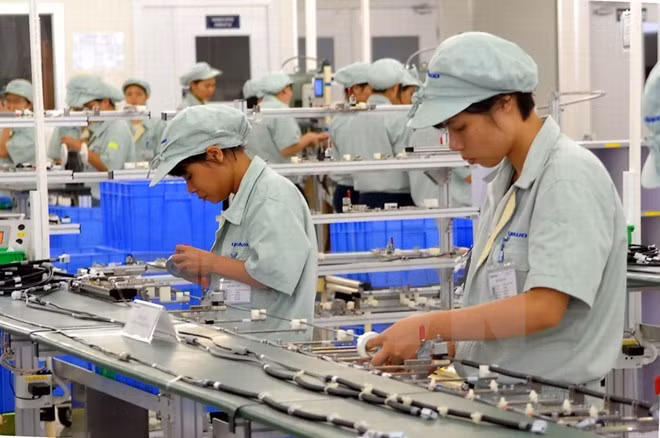 L'indice de production industrielle de HCM-Ville en hausse de 6,24% ảnh 1