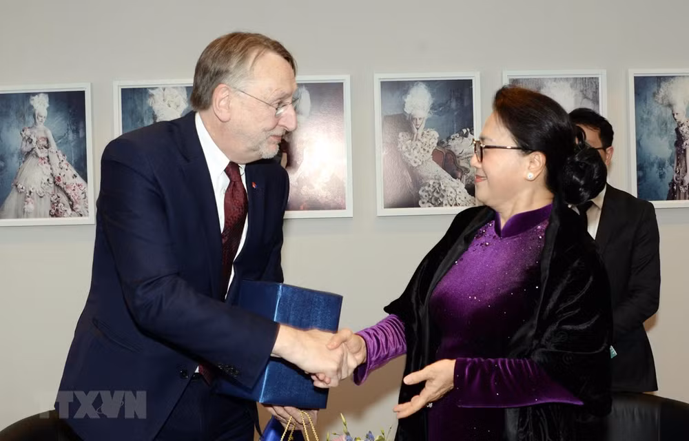 La présidente de l’AN du Vietnam rencontre un haut responsable du Parlement européen ảnh 1