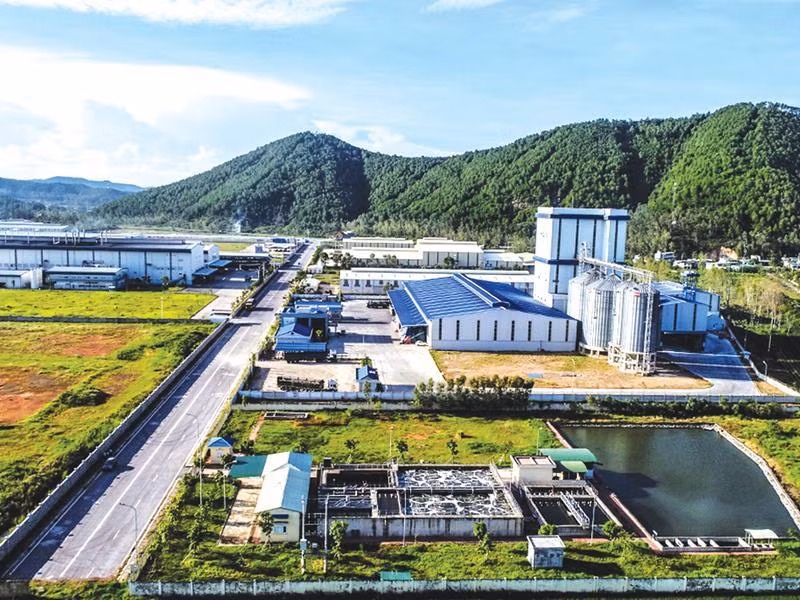 Investissement: la région septentrionale du Centre de plus en plus attractive pour les Viet kieu ảnh 1