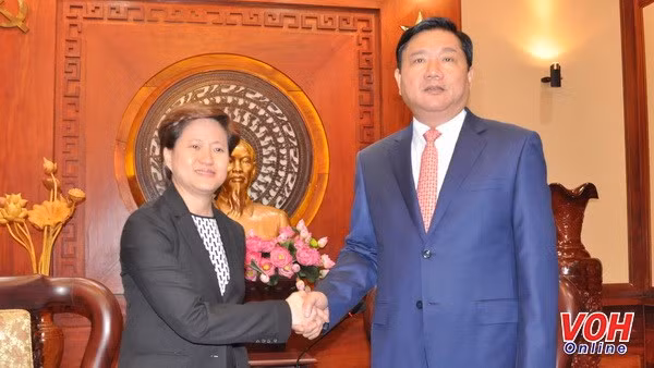 Ho Chi Minh-Ville déroule le tapis rouge aux investisseurs singapouriens ảnh 1