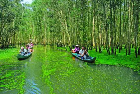 Province de Dông Thap: Gao Giông, haut lieu du tourisme vert ảnh 2