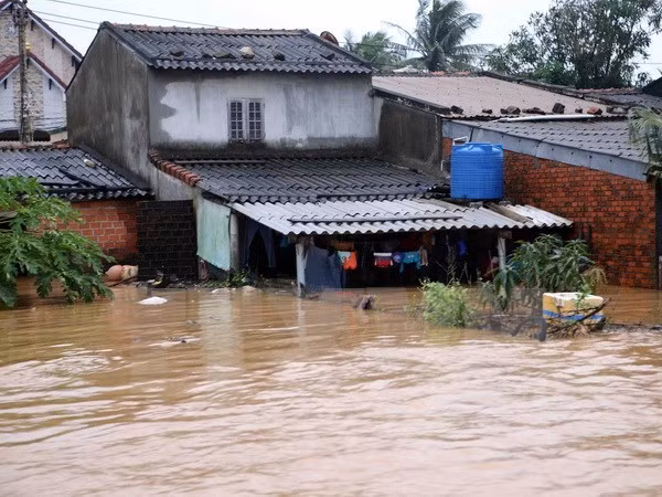 Le PM décide d’octroyer 2.000 tonnes de riz aux sinistrés de Binh Dinh ảnh 1
