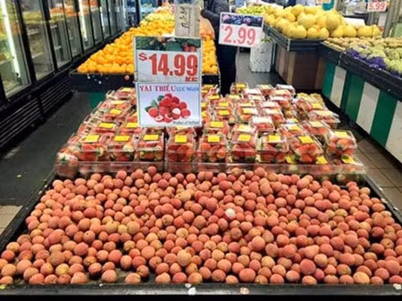 Créer une place digne des fruits du Vietnam sur le marché mondial ảnh 1
