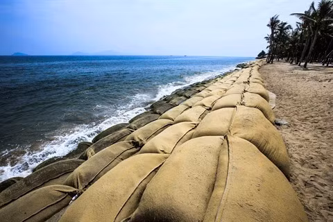 Tourisme maritime : l'impact du réchauffement du climat au Vietnam se précise ảnh 2
