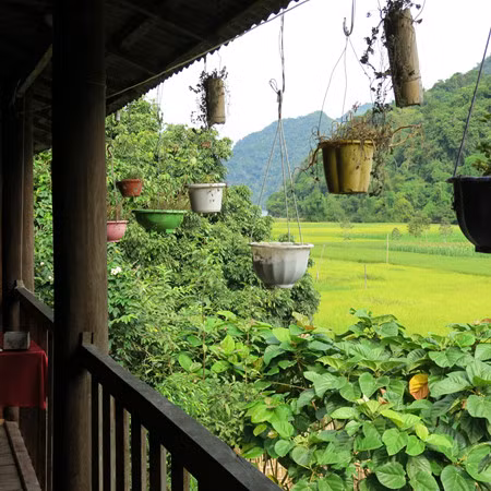 Province de Bac Kan: Pac Ngoi, un petit paradis éco-touristique ảnh 4