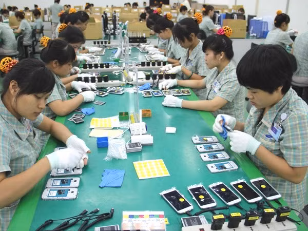 Exportations vers l’Inde depuis janvier: téléphones et accessoires en tête ảnh 1