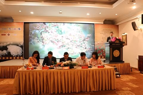 Bientôt le Festival du café de Buôn Ma Thuôt 2017 ảnh 1