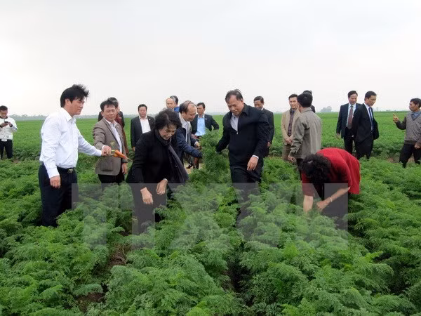 La présidente de l’AN engage Cam Giang à développer des zones agricoles à haute valeur ajoutée ảnh 1