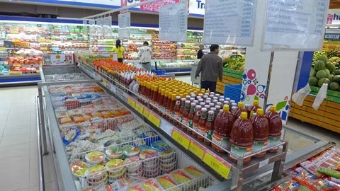 Sommet mondial de la chaîne du froid 2018 au Vietnam ảnh 3