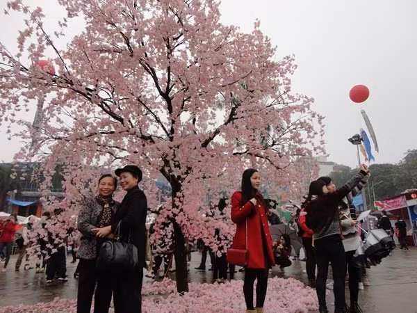 Une riche palette d’activités à la Fête d'échanges culturels Vietnam-Japon ảnh 2