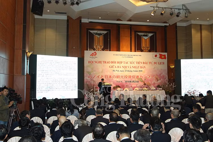 Hanoï renforce sa coopération avec le Japon ảnh 1