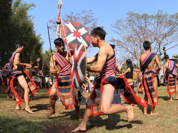 Le joyeux mois de mars sur les hauts plateaux du Tây Nguyên ảnh 2