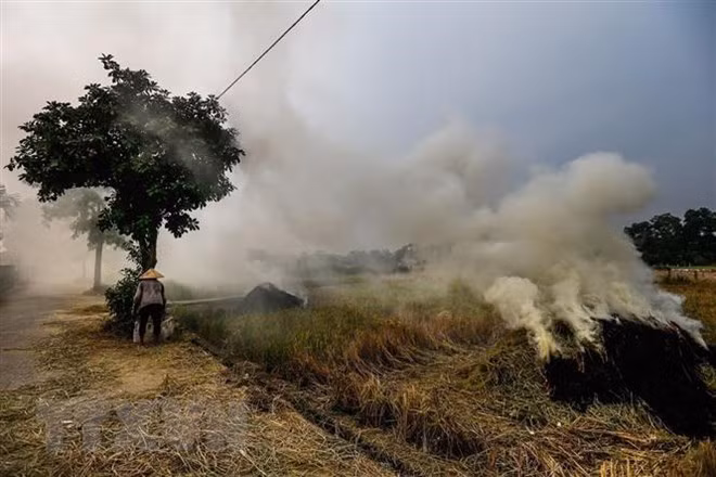 L'ONU loue des efforts du Vietnam dans la résilience au changement climatique ảnh 1