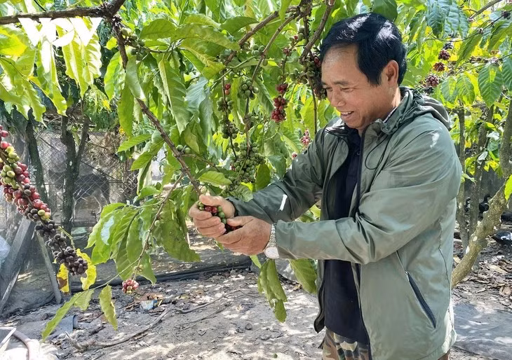 Kon Tum: quand les familles démunies accèdent à des prêts bancaires ảnh 1