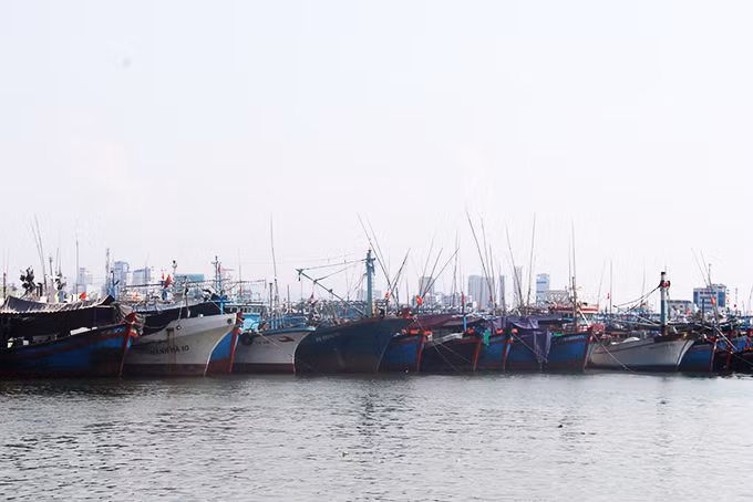 Le super-typhon NORU devrait toucher le Vietnam le 27 septembre ảnh 2