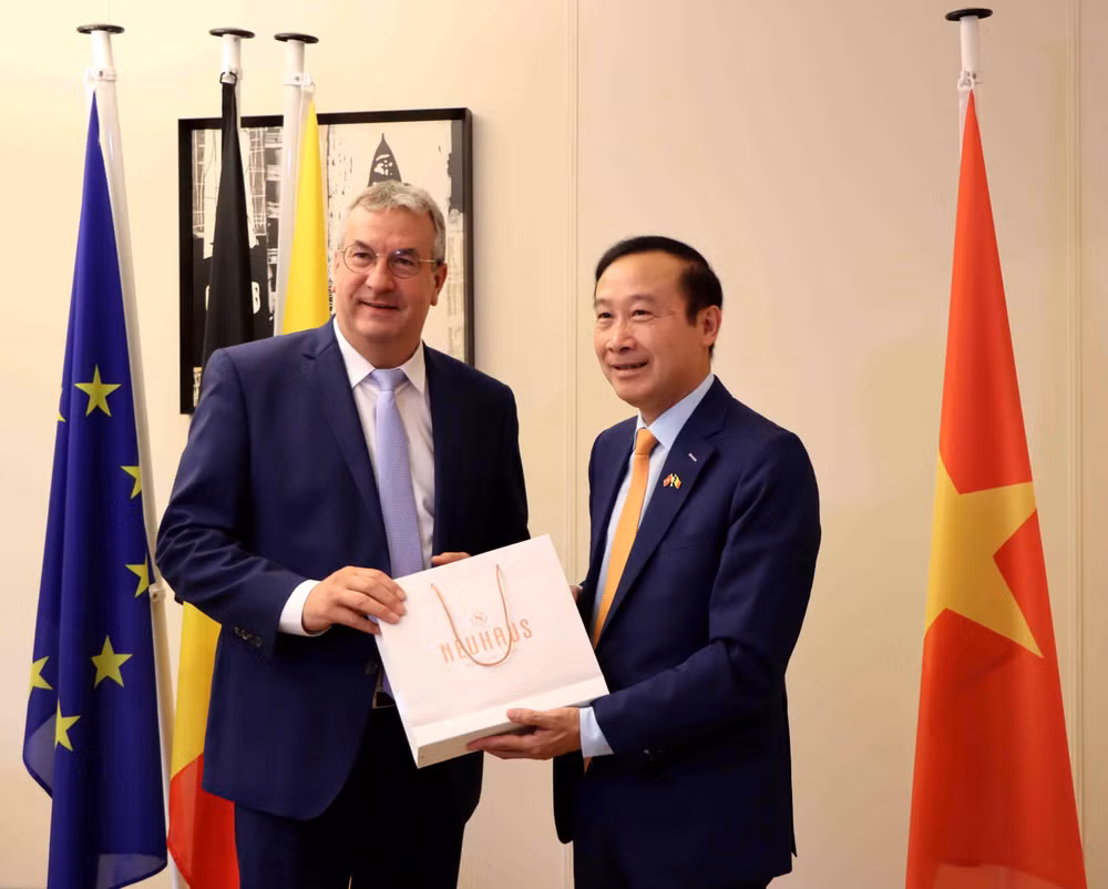 Le Vietnam, partenaire prioritaire de la Communauté française de Belgique ảnh 2