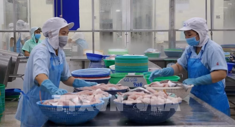 Le potentiel d'exportation de produits aquatiques vietnamiens vers la Chine très important ảnh 1