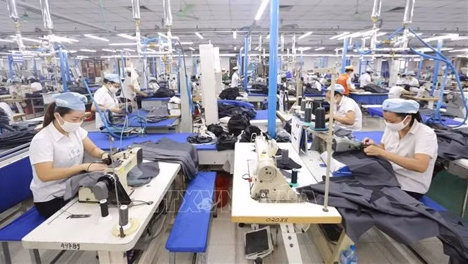Deux ans de mise en œuvre de l’EVFTA : de nombreux potentiels d’exportation vers l’UE ảnh 2