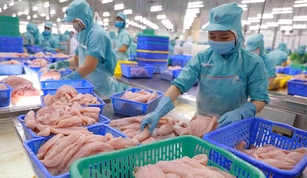 Le député européen Jan Zahradil apprécie la position du Vietnam ảnh 2