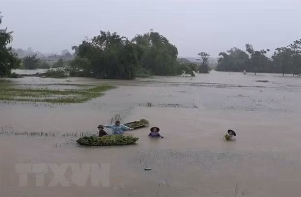 De fortes pluies causent de lourds dégâts dans les localités du Nord ảnh 3