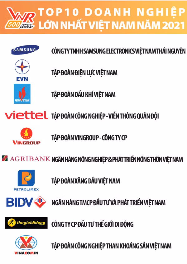 Le top 500 des plus grandes entreprises du Vietnam en 2021 dévoilé ảnh 2