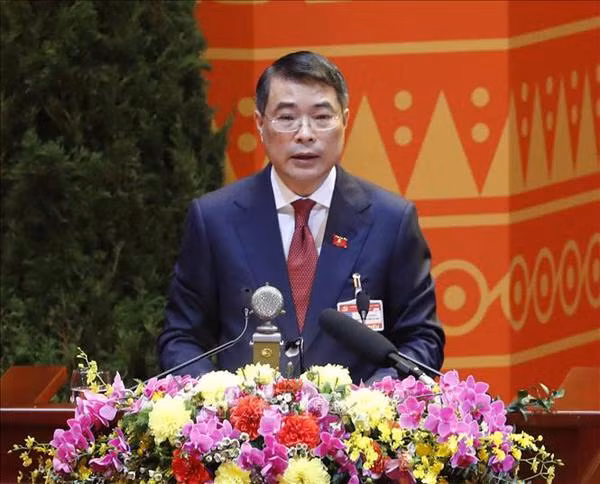 Mise en œuvre de la Résolution du 13e Congrès du Parti pour un Vietnam prospère et heureux ảnh 1