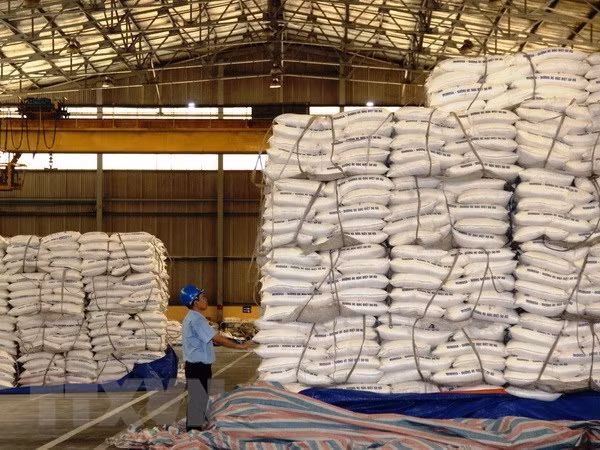 Le sucre bio vietnamien trouve son chemin vers l’Europe ảnh 1 Le sucre bio vietnamien trouve son chemin vers l’Europe ảnh 1